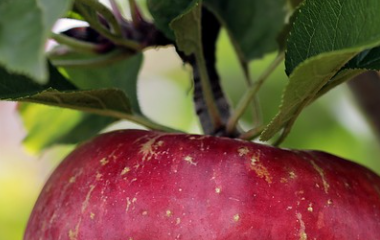 开云体育平台网址最新地址(中国)官方系统