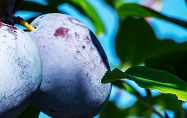 开云体育平台网址最新地址(中国)官方系统