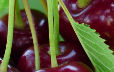 开云体育平台网址最新地址(中国)官方系统